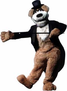 Customized Costumes, Accessories, and Props for your Brand Mascot