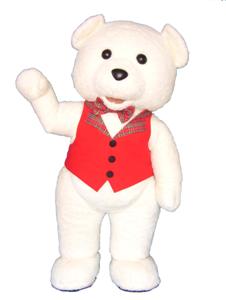 rent teddy bear costume