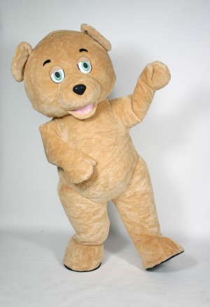 rent teddy bear costume