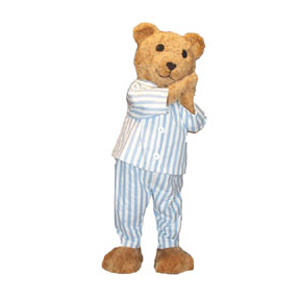 PB Bear DK Publishing custom corporate mascot