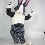 Bernie, Annie's Organic and Natural Foods custom corporate mascot