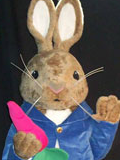 Peter Rabbit Custom Mascot Peter Rabbit Mascot Costume