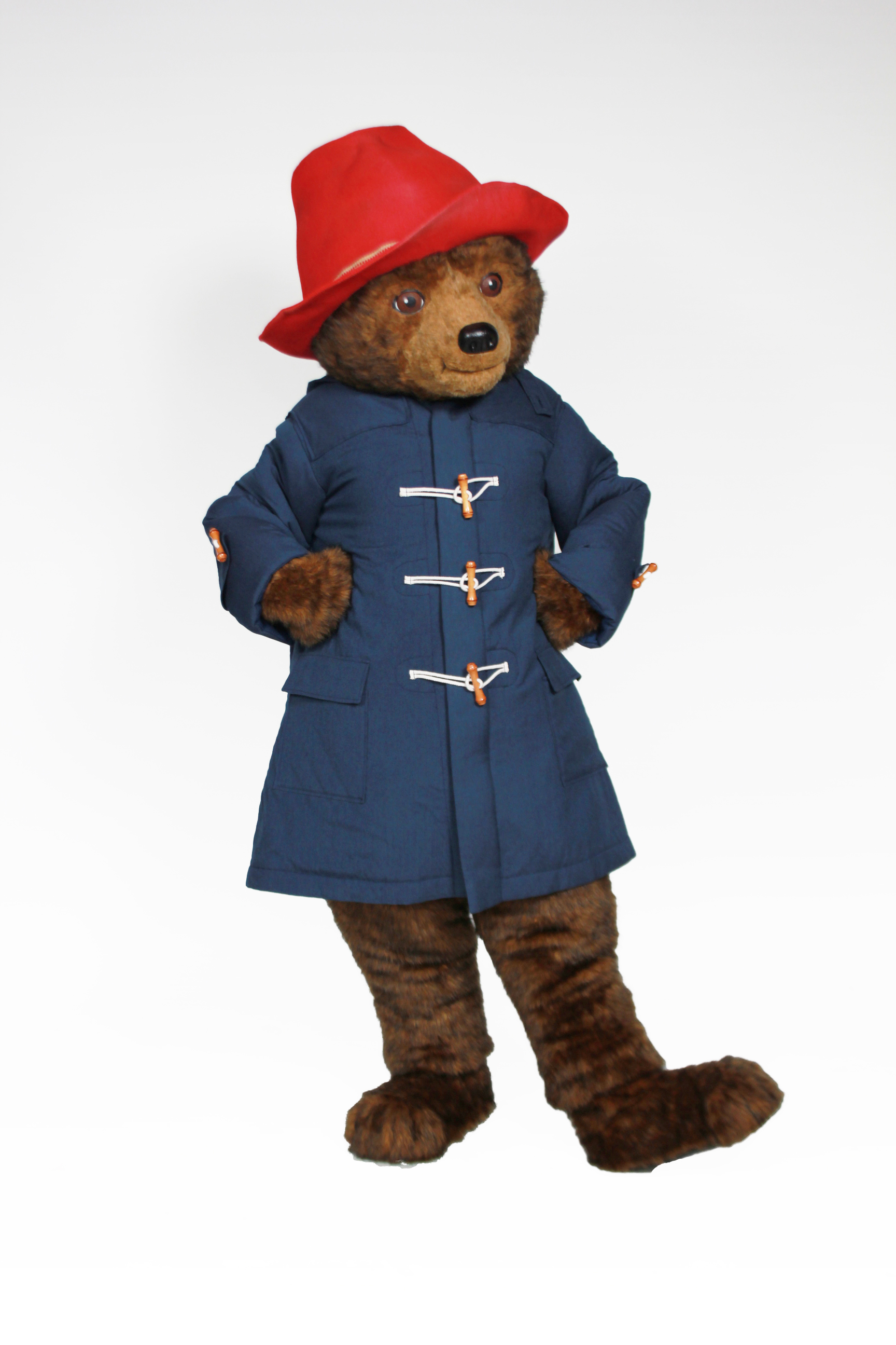 Paddington Bear Character Rental Custom Mascots Costume Specialists 