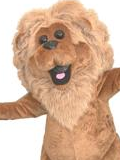 Lion Custom Mascot Lion Mascot Costume