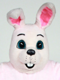 Big Pink Bunny Big Pink Bunny