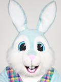 Blue Bunny Blue Bunny