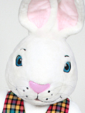 Mr White Bunny Mr White Bunny