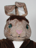 Patches the Rabbit Patches the Rabbit