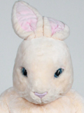 Peach Bunny Peach Bunny