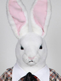 White Rabbit White Rabbit