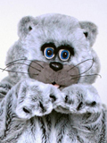 Grey Kitty Grey Kitty Costume