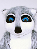 Raccoon Raccoon Costume