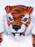 Tiger Tiger Costume