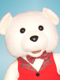 White Teddy Bear Custom Mascot White Teddy Bear Mascot Costume