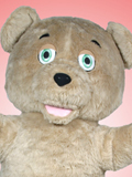Shaggy Teddy Bear Custom Mascot Shaggy Teddy Bear Mascot Costume