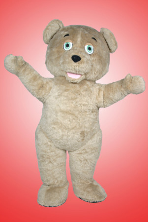 rent teddy bear costume