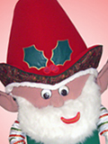 Christmas Elf Custom Mascot Christmas Elf Rental Mascot Costume