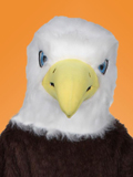 Bald Eagle Bald Eagle Costume