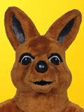 Kangaroo Kangaroo Costume
