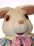 Easter Bunny Custom Mascot Easter Bunny Mascot Costume
