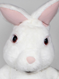 Fuzzy Bunny Custom Mascot Fuzzy Bunny Mascot Costume