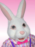 Lady Easter Bunny Lady Easter Bunny Costume