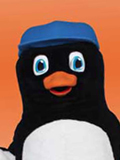 Penguin Custom Mascot Penguin Rental Mascot Costume
