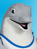 Dolphin Custom Mascot Dolphin Mascot Costume