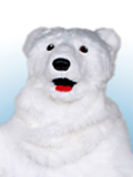 Polar Bear Polar Bear Costume