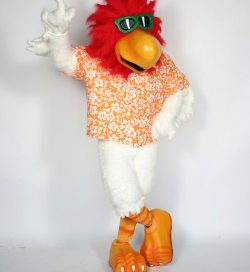 B.C. Rooster Mascot Costume