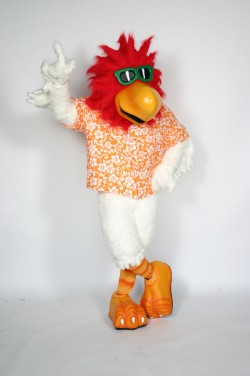B.C. Rooster Mascot Costume