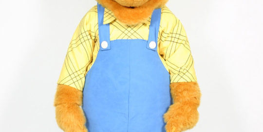 Berenstain Parents Mascot Costume