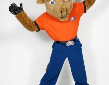 Elmer Mascot Costume