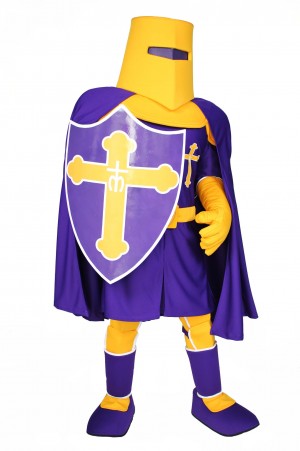 Archbishop Riordan Knight Mascot Costume