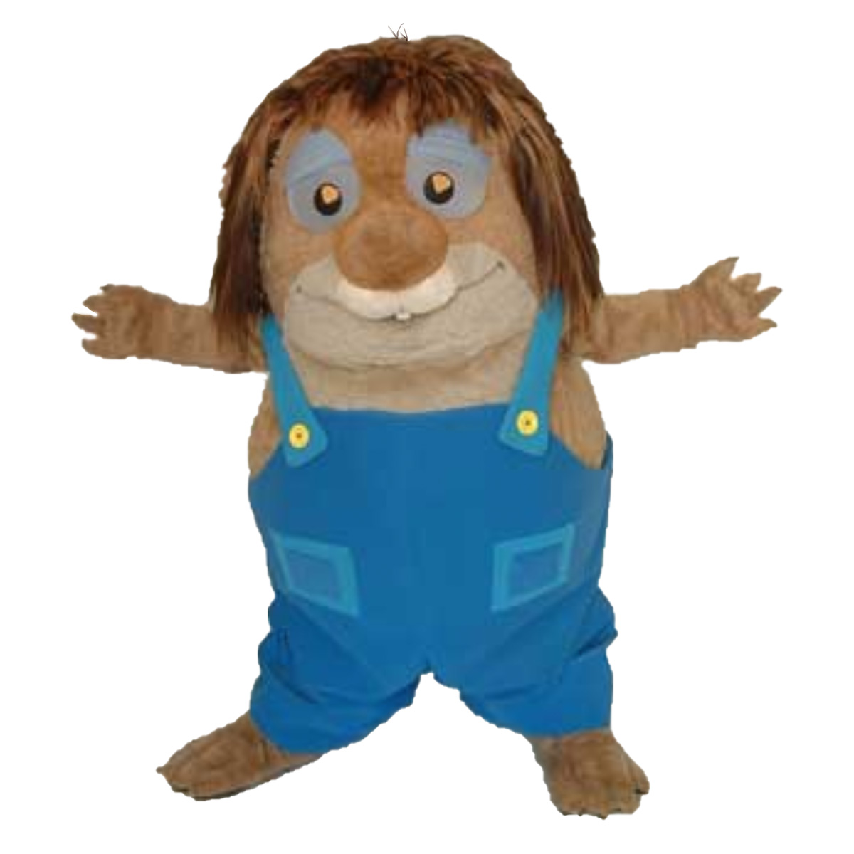 Mercer Mayer's Little Critter Mascot Costume created by Costume Specialists