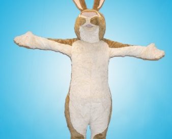 Little Nutbrown Hare Mascot Costume
