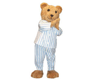 PB Bear Mascot Costume