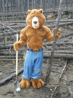 Smoked Bear Mascot Costume