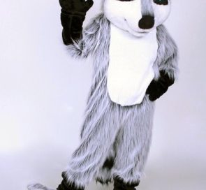Raccoon mascot costume rental