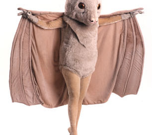Stellaluna mascot costume