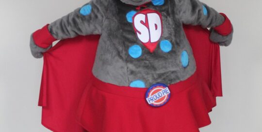 Super Daisy Custom Mascot