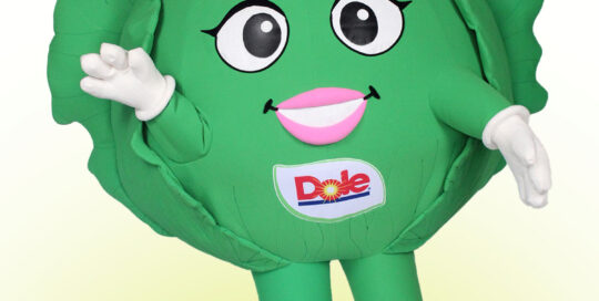 Mascot Costume of the Lucy Lettuce Character for Dole. Mascot is shaped like a large Head of Lettuce with cheerful face and a Dole Tag.