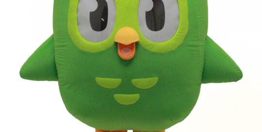 Duo Custom Mascot for Duolingo by Costume Specialists